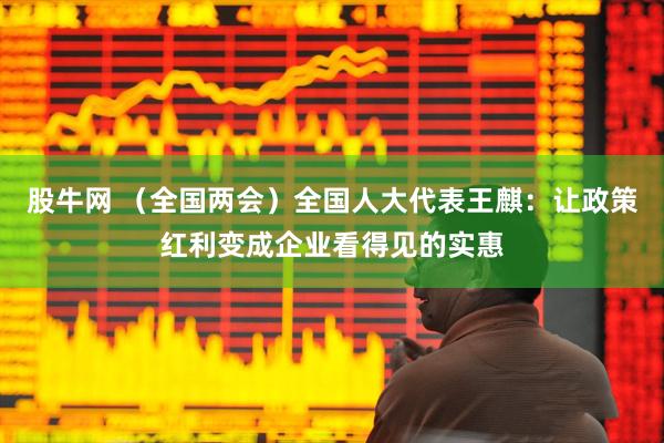 股牛网 （全国两会）全国人大代表王麒：让政策红利变成企业看得见的实惠