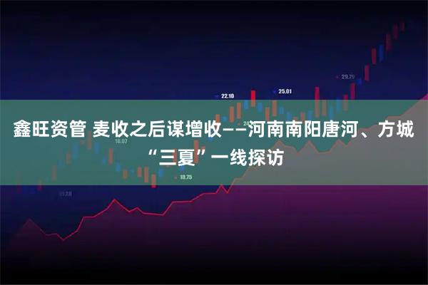 鑫旺资管 麦收之后谋增收——河南南阳唐河、方城“三夏”一线探访