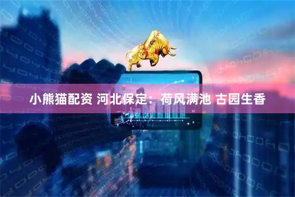 小熊猫配资 河北保定:荷风满池 古园生香