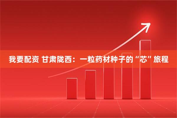 我要配资 甘肃陇西:一粒药材种子的“芯”旅程