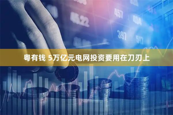 粤有钱 5万亿元电网投资要用在刀刃上