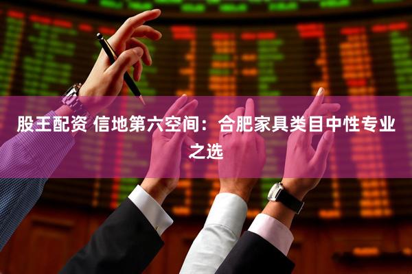 股王配资 信地第六空间：合肥家具类目中性专业之选
