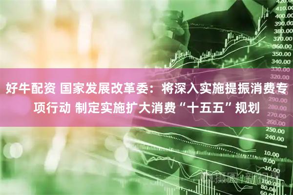 好牛配资 国家发展改革委：将深入实施提振消费专项行动 制定实施扩大消费“十五五”规划