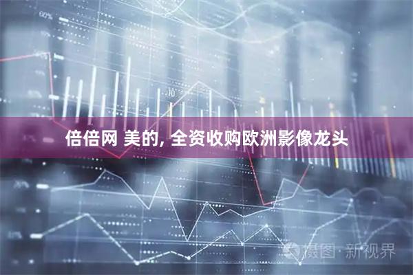倍倍网 美的, 全资收购欧洲影像龙头