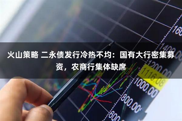 火山策略 二永债发行冷热不均：国有大行密集募资，农商行集体缺席