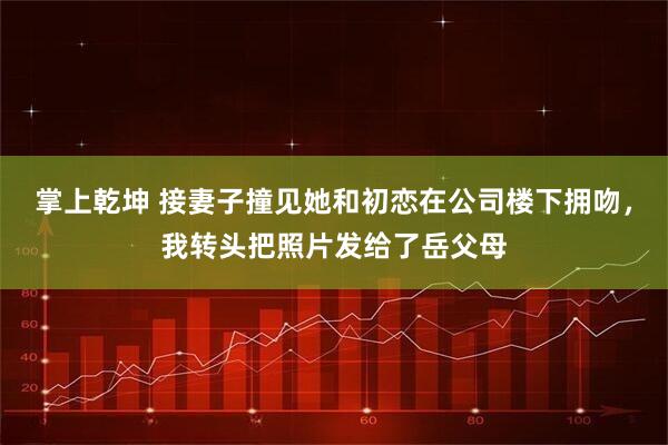 掌上乾坤 接妻子撞见她和初恋在公司楼下拥吻，我转头把照片发给了岳父母