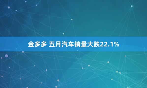 金多多 五月汽车销量大跌22.1%