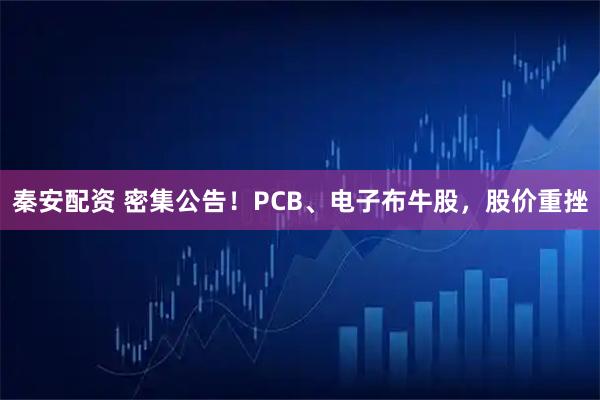 秦安配资 密集公告！PCB、电子布牛股，股价重挫
