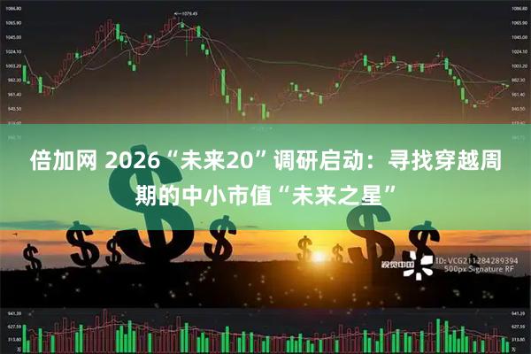 倍加网 2026“未来20”调研启动：寻找穿越周期的中小市值“未来之星”