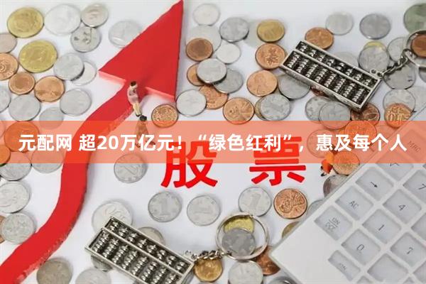 元配网 超20万亿元！“绿色红利”，惠及每个人