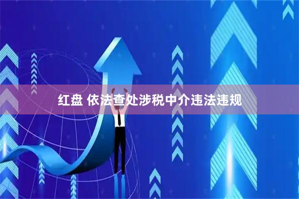 红盘 依法查处涉税中介违法违规