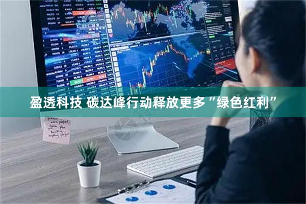 盈透科技 碳达峰行动释放更多“绿色红利”