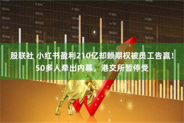 股联社 小红书盈利210亿却赖期权被员工告赢！50多人牵出内幕，港交所暂停受